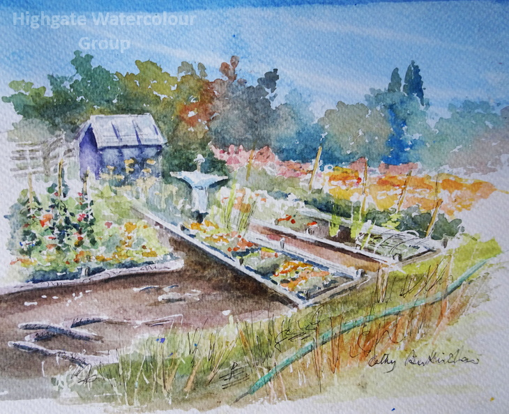 Allotment.jpg