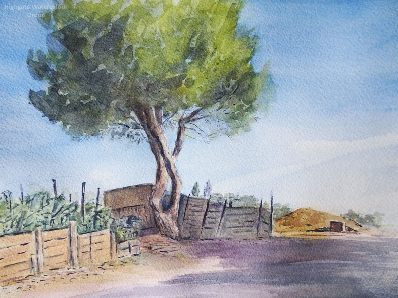 The allotment.jpg