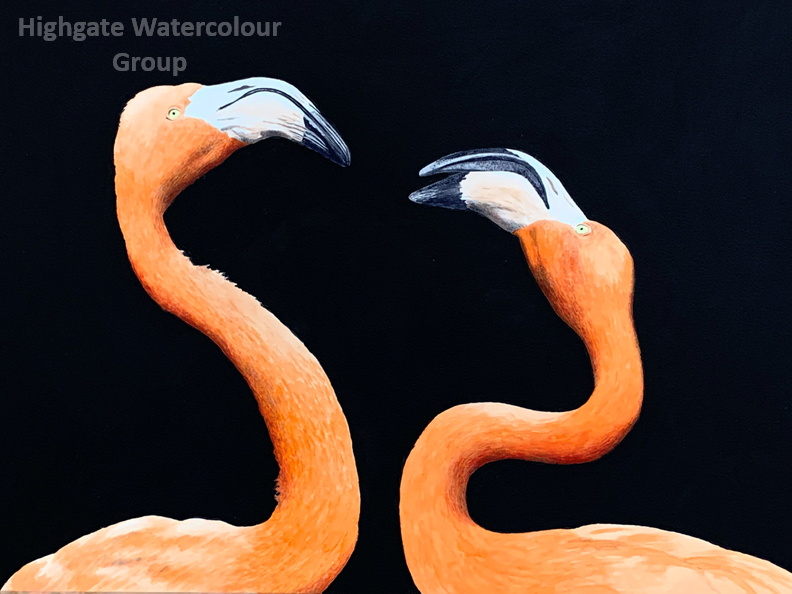 Flamingos 4.jpg