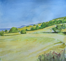 St Abbs Head Berwickshire Scotland