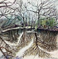 Connaught Water, Epping Forest