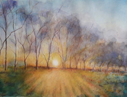 Evening Trees 