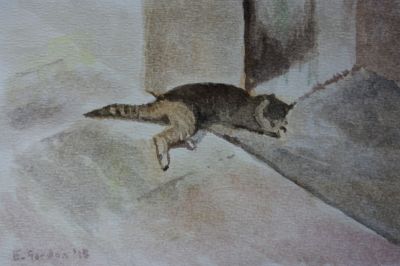 normal_Shady_Siesta_EG_01_021015.jpg